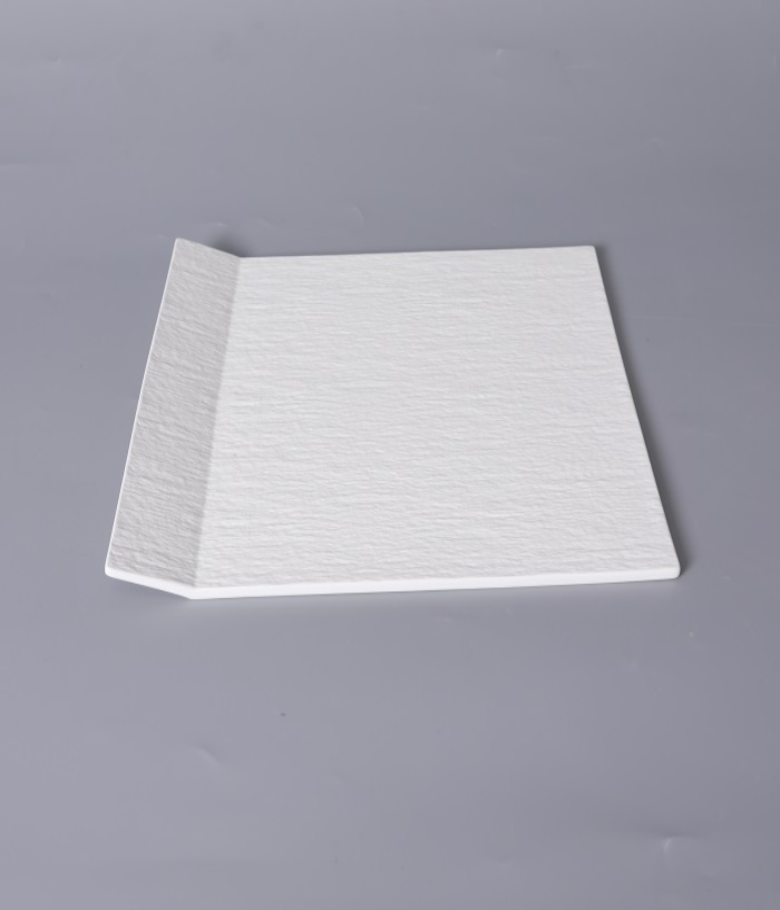 Flavour Fusion (Serving Plate)