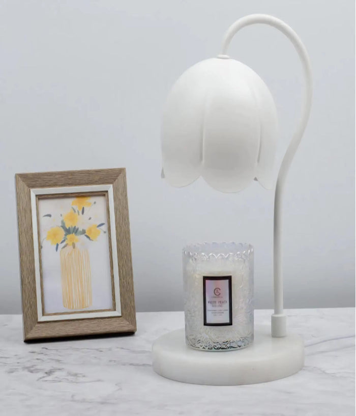 Little Lumie (Petite Lamp with Oudh Candle)